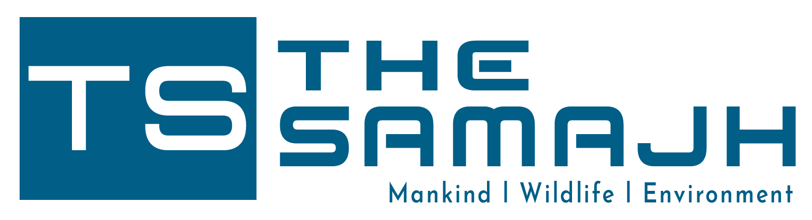 TS Logo
